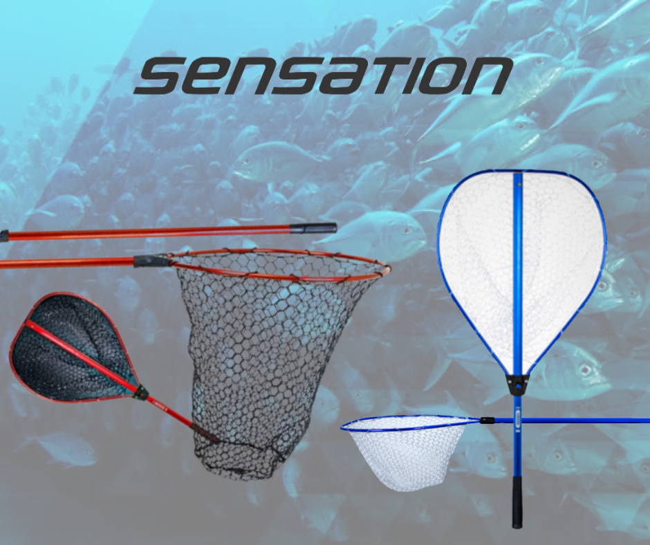 SENSATION NET