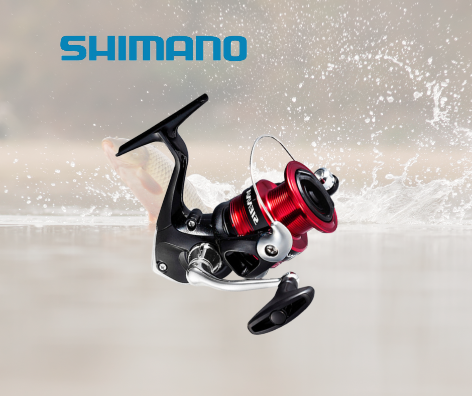 SHIMANO SIENNA 4000RD