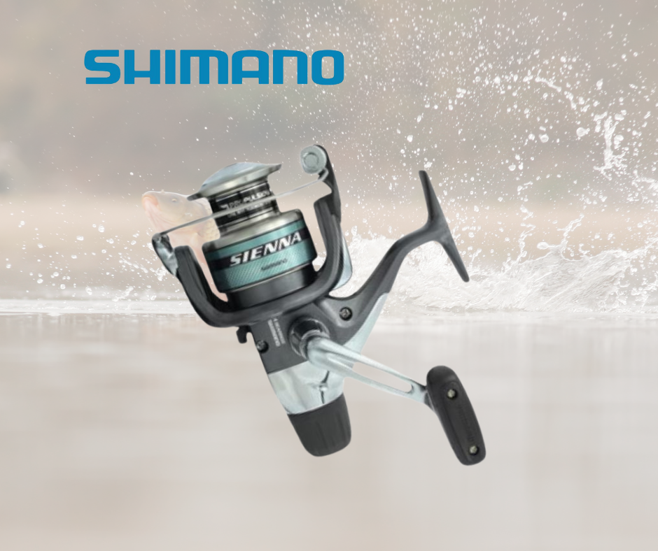 SHIMANO SIENNA 1000RD